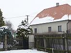 Třibřichy